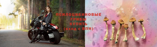индика Приозерск
