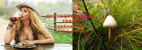 спиды Баксан
