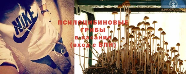спиды Баксан